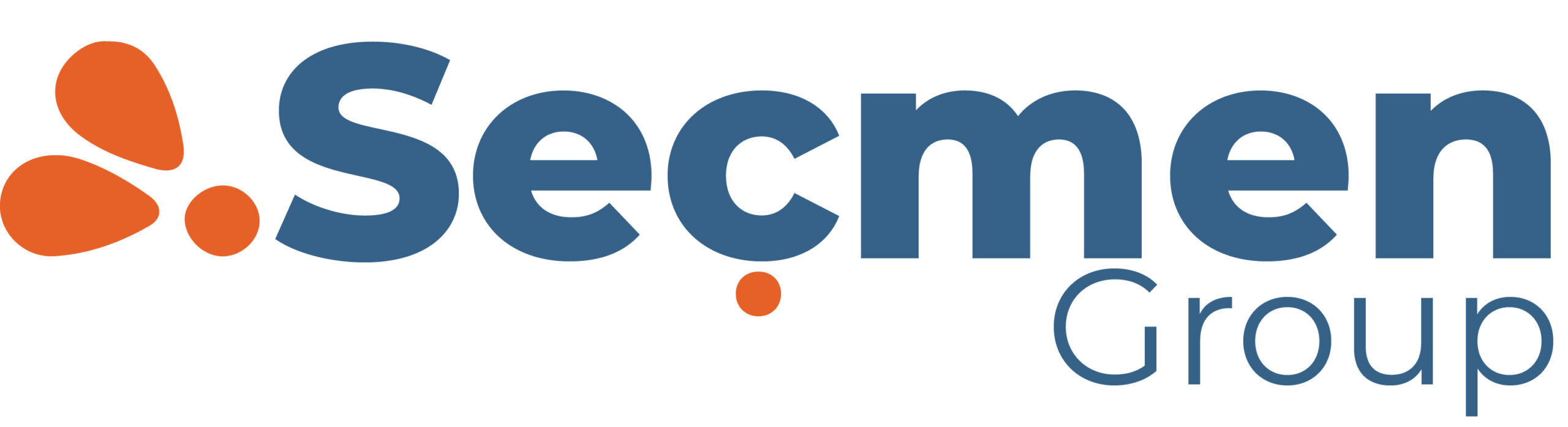 Seçmen Group